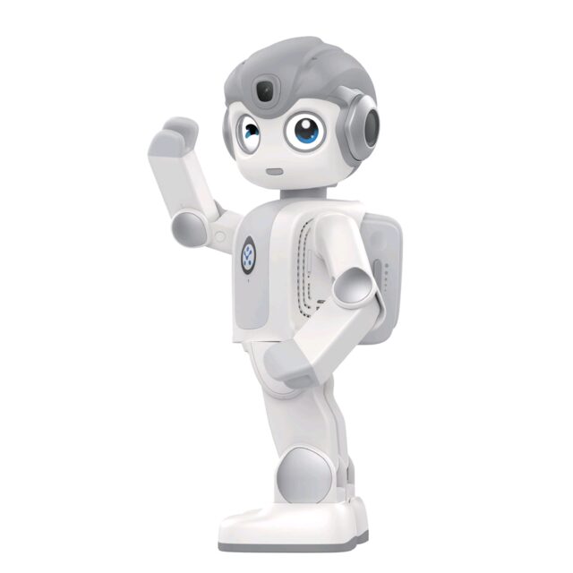 Robot Robin