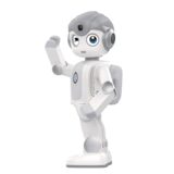 Robot Robin