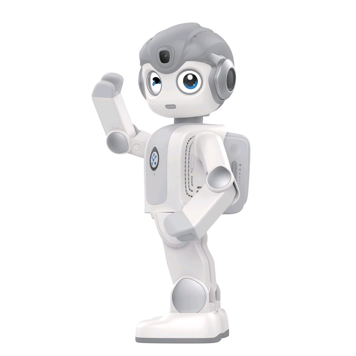 Robot Robin