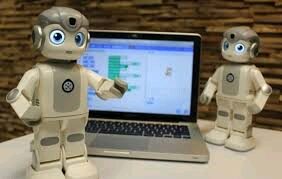 Robot Robin
