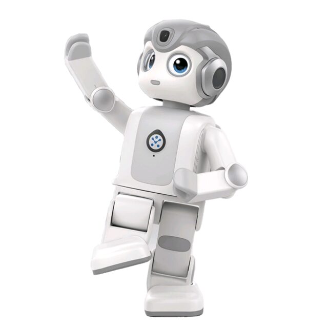 Robot Robin