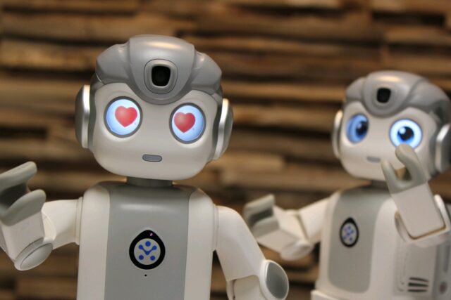 Robot Robin
